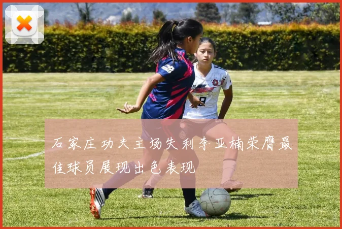 石家庄功夫主场失利李亚楠荣膺最佳球员展现出色表现